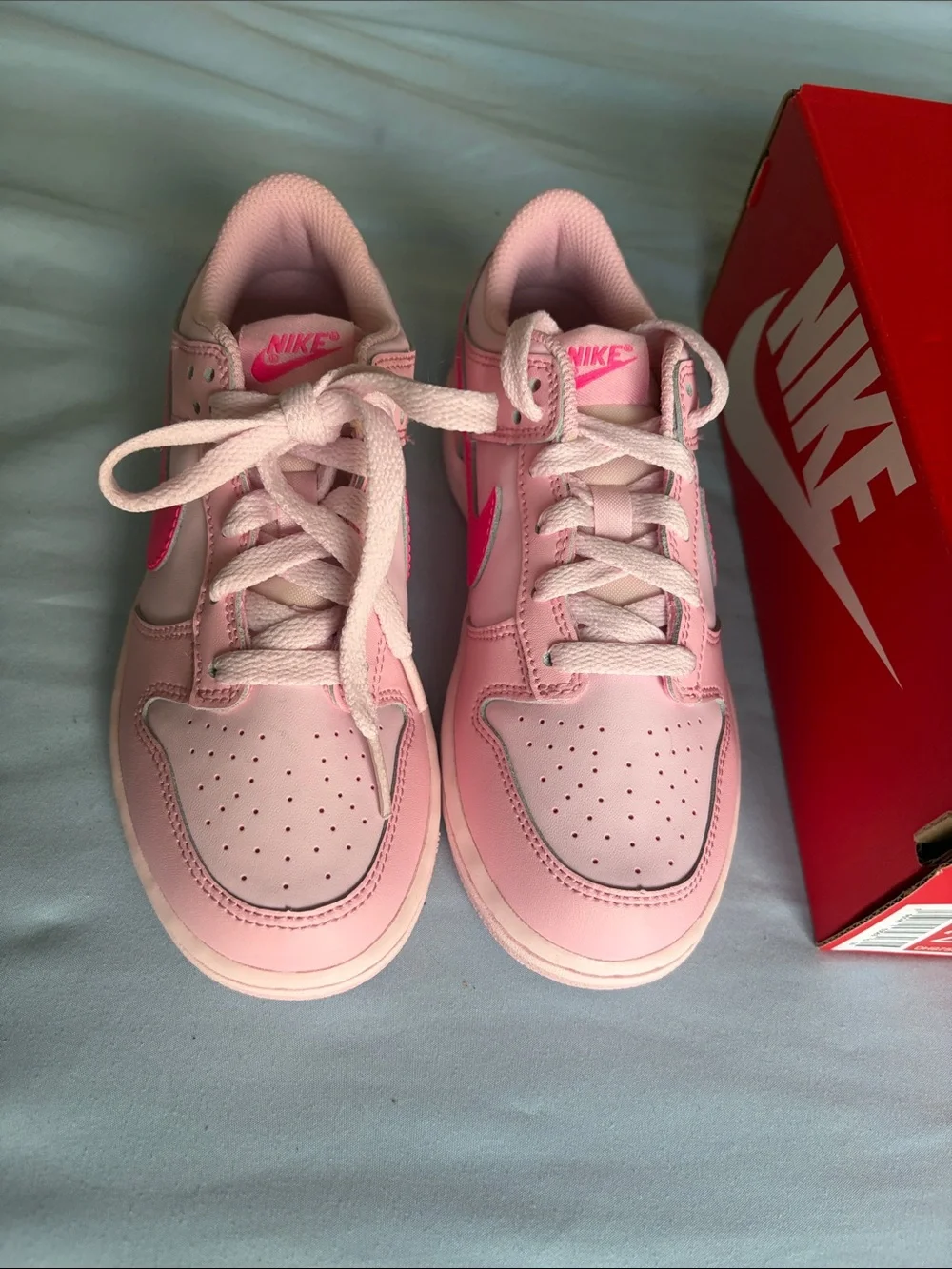 Nike Dunk Low